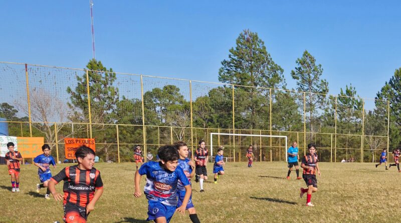 DEFINICIONES PARA LOS PEKES⚽️